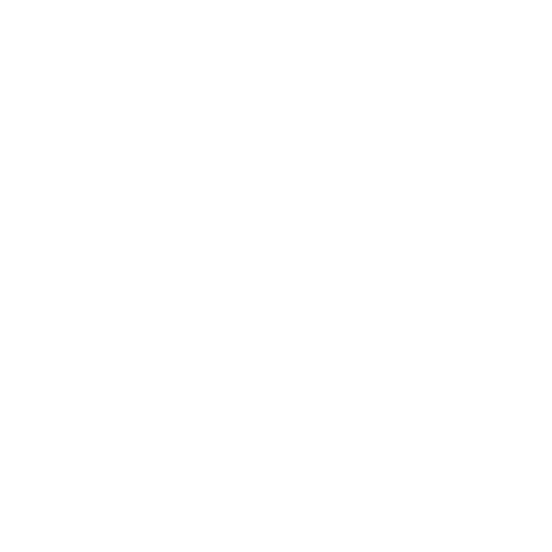 Community Participation icon