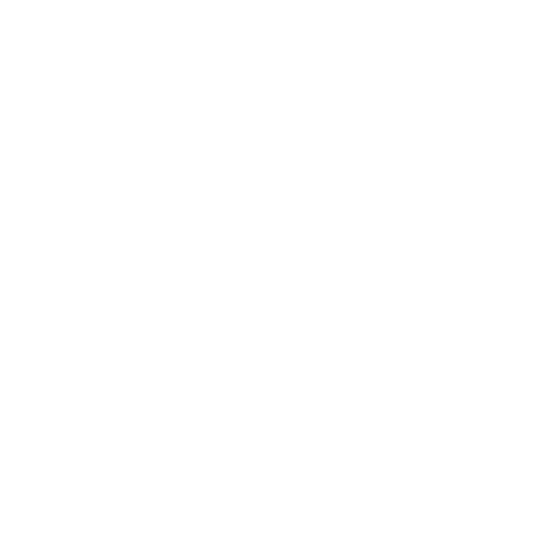 ILO icon