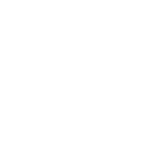 Community Participation icon